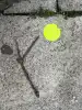 Photo: Branch lies on asphalt next to a neon yellow round sticker