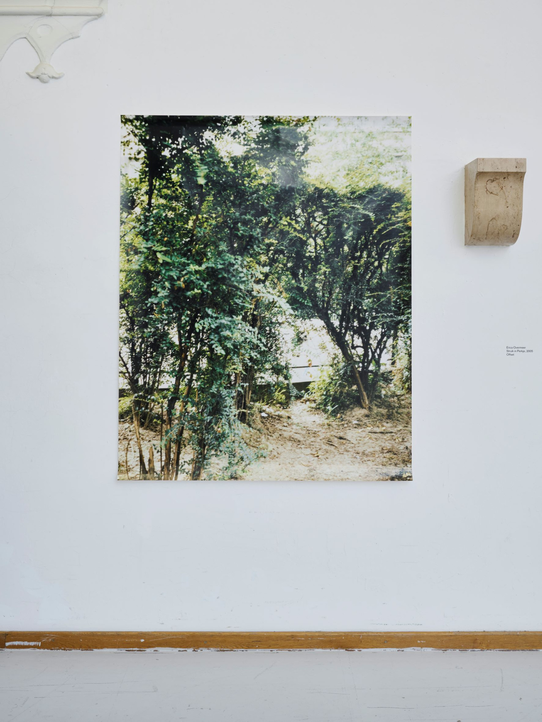 grosser-druck-mit grünen-sträuchern-von-erica-overmeer-teil-der-ausstellung-onside-offside-rathausgalerie