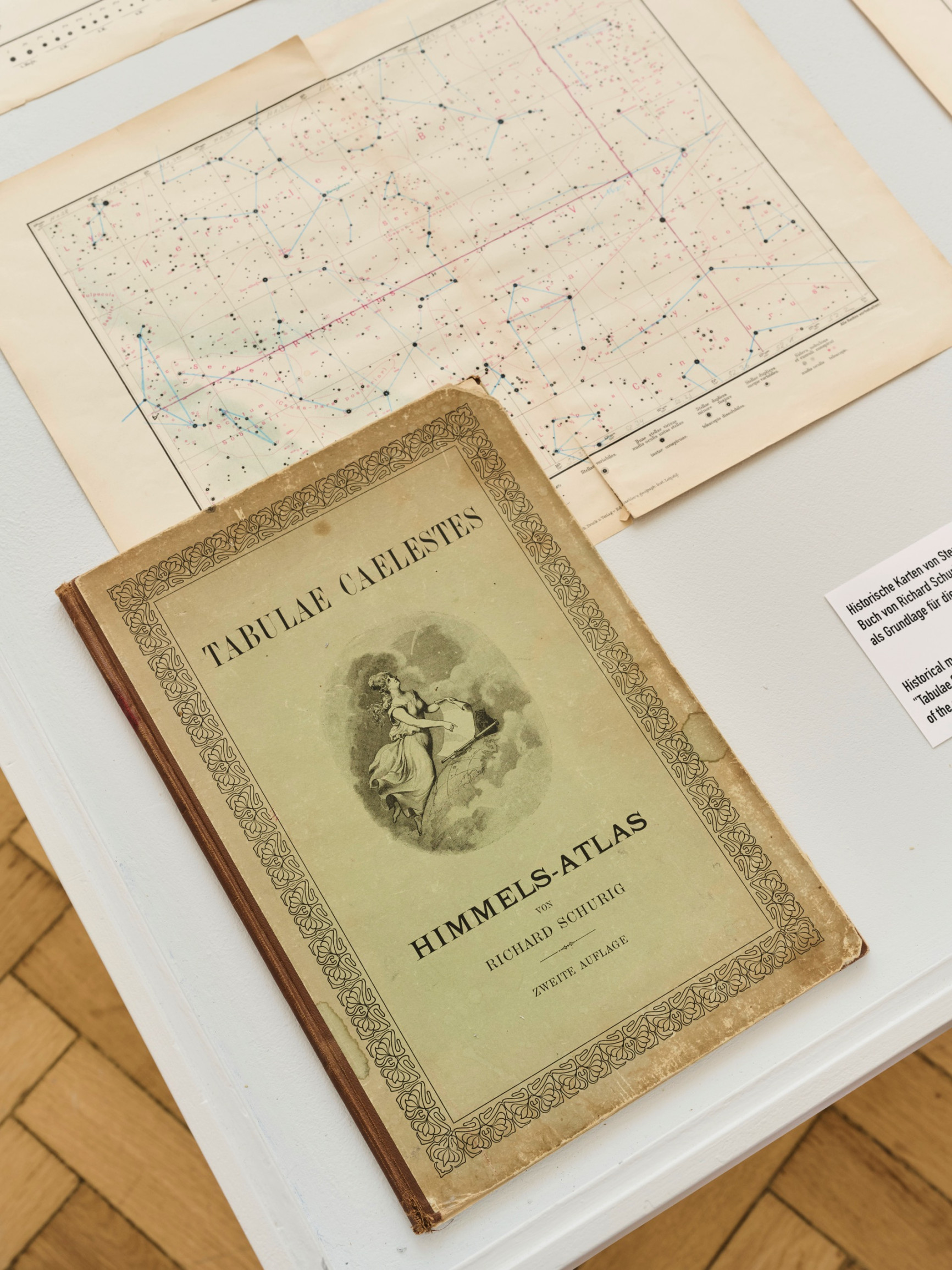 Rathaus Galerie München Instrumentalized Engl Lieberman Schlehhuber11 Fabian Frinzel